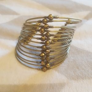 Premier Designs SLINKIE bracelet  retired jewelry
